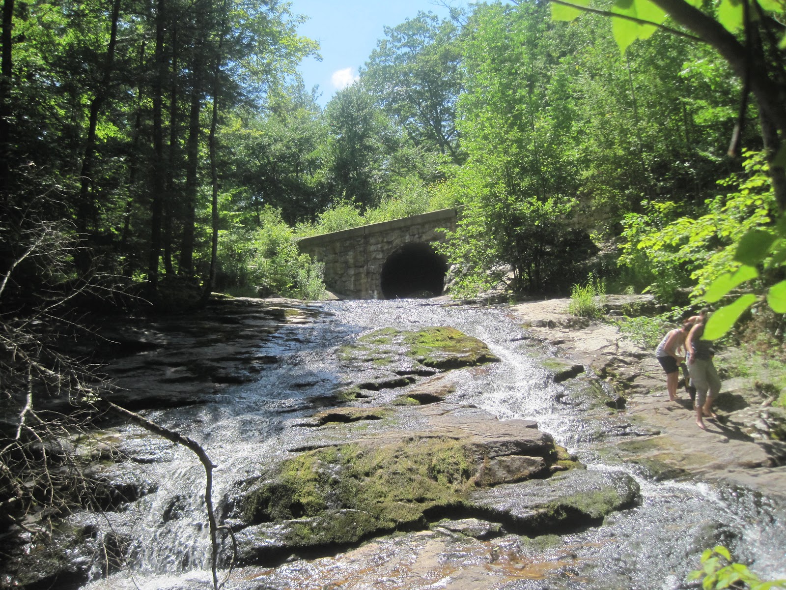 Mt.Tom Billy Goat 2 Chapel Brook Reservation Ashfield Ma. Ashfield