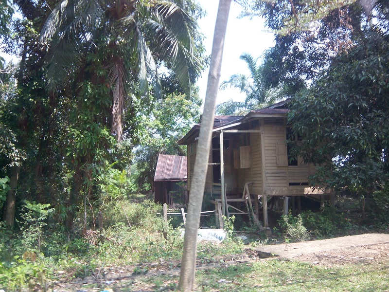 lamanpahang Kampung  Gintong Jerantut Pahang ada kesyahduan 