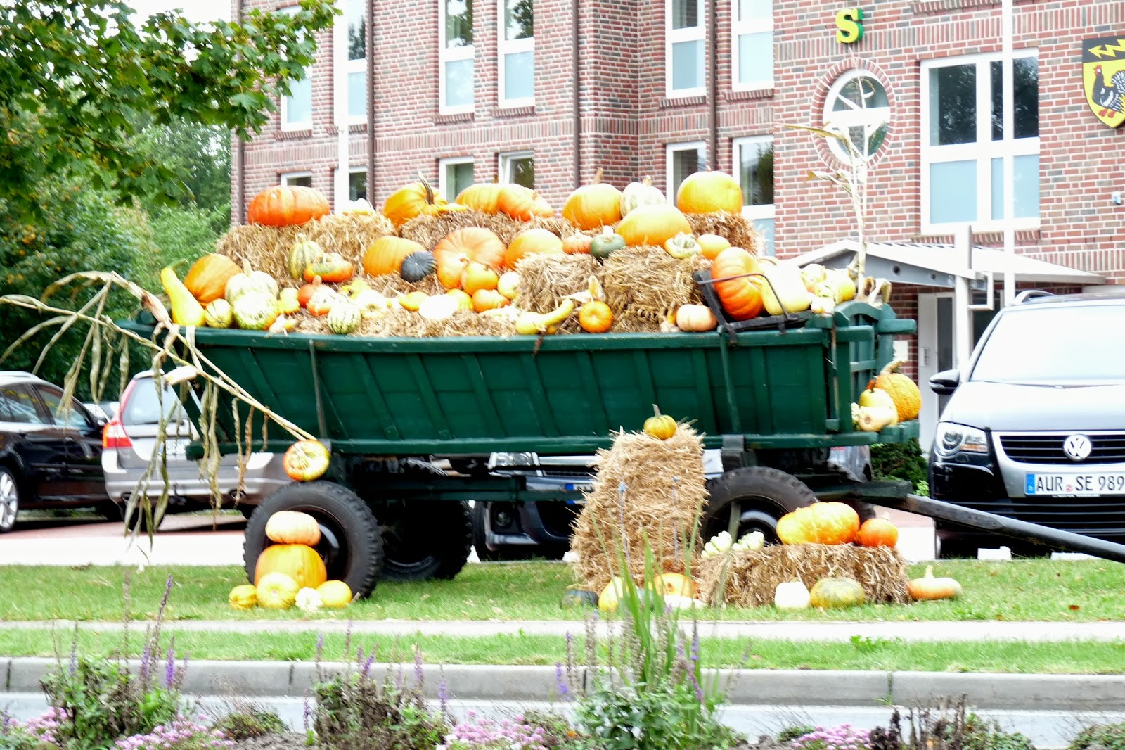 Wiesmoorinfo Kürbisfest