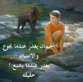 صور معبرة 2018