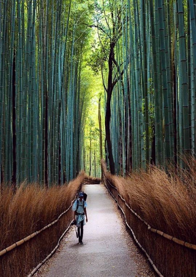 100 ± Gambar Wallpaper HD Iphone & Android Terbaru Via Wahok Paling Keren