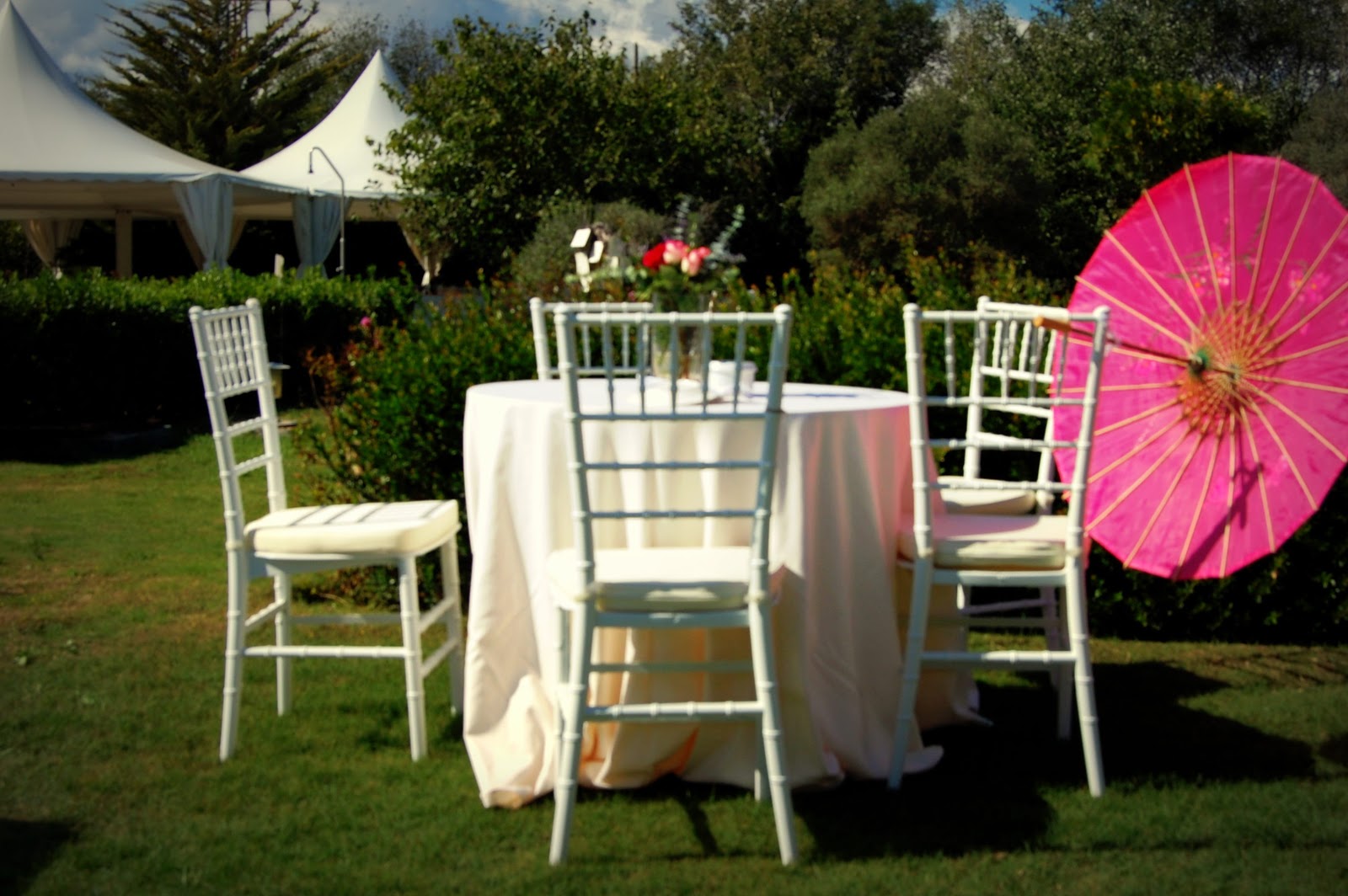 ALTACAZUELA Catering: Una boda de ensueño II...