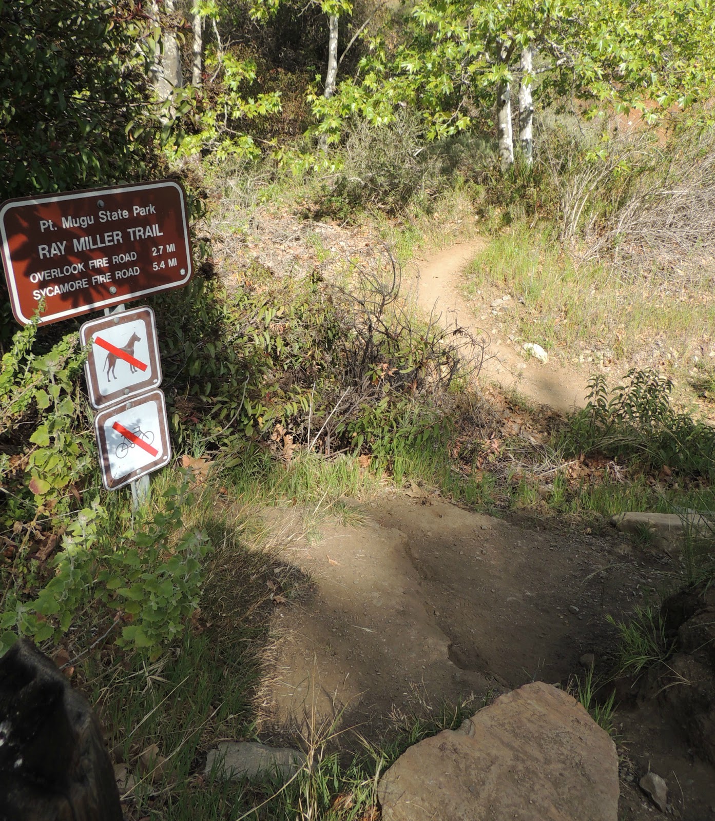 1000 Hikes in 1000 Days Day 854 Ray Miller Trail First Leg of the