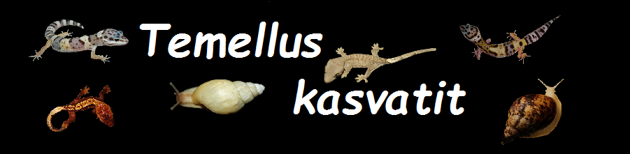 Temellus kasvatit