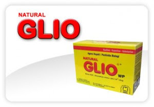  Natural GLIO Pengendali Penyakit Tanaman