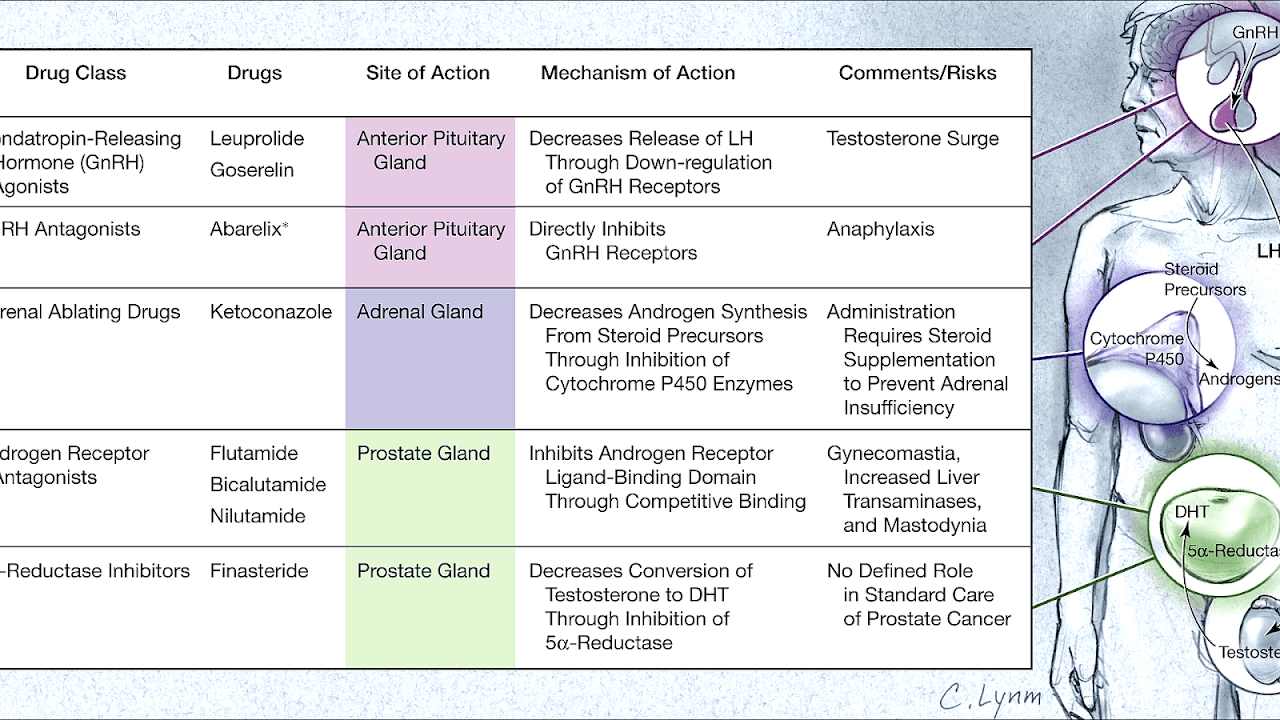 Prostate Hormone Therapy Side Effects Effect Choices