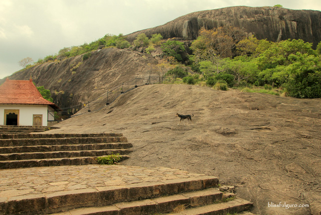 Dambulla Cave Temple Sri Lanka