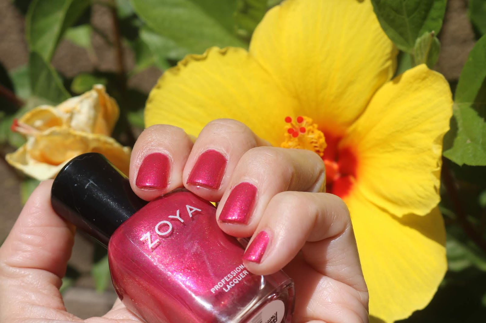 Zoya Robbie