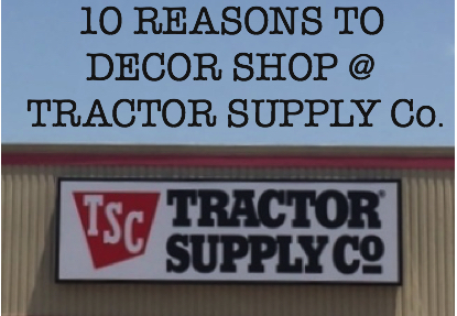 reasons visit tractor supply ten fun near store
