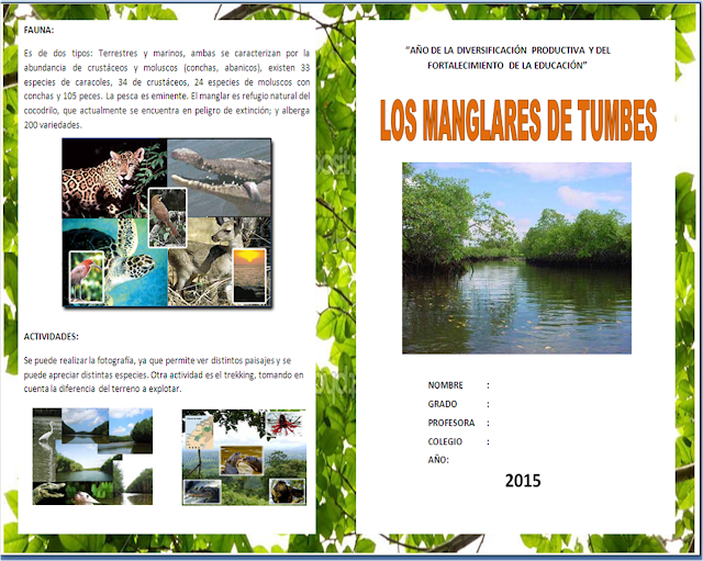 Rose Margarita: DIPTICO "LOS MANGLARES DE TUMBES"