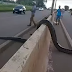 Cobra sucuri é vista de novo e consegue seu objetivo na BR-364 - VÍDEO