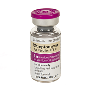 Suntik Streptomycin streptomisin streptomicin