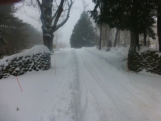 Nor'easter March 2017