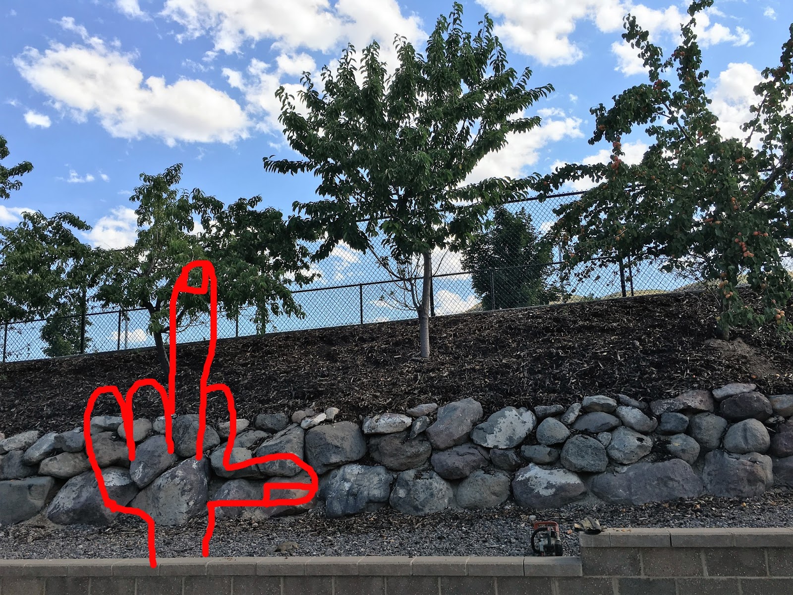 Dear Person Reading This, Tree Hate