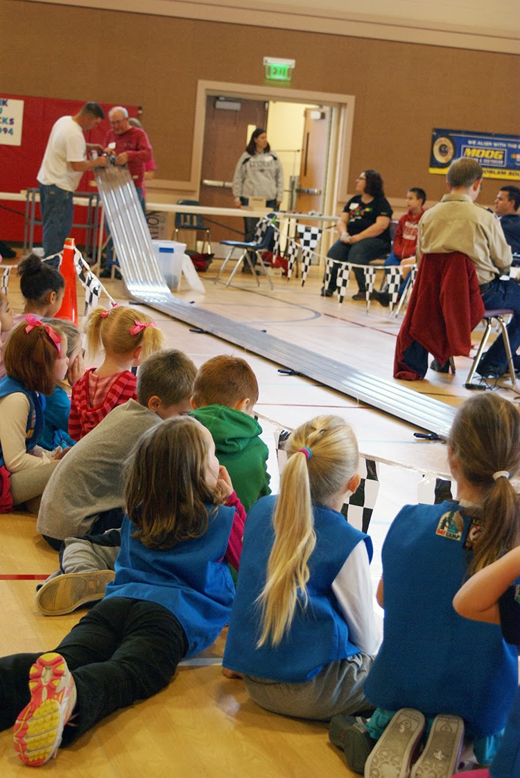 ROBYNS NEST POWDER PUFF DERBY