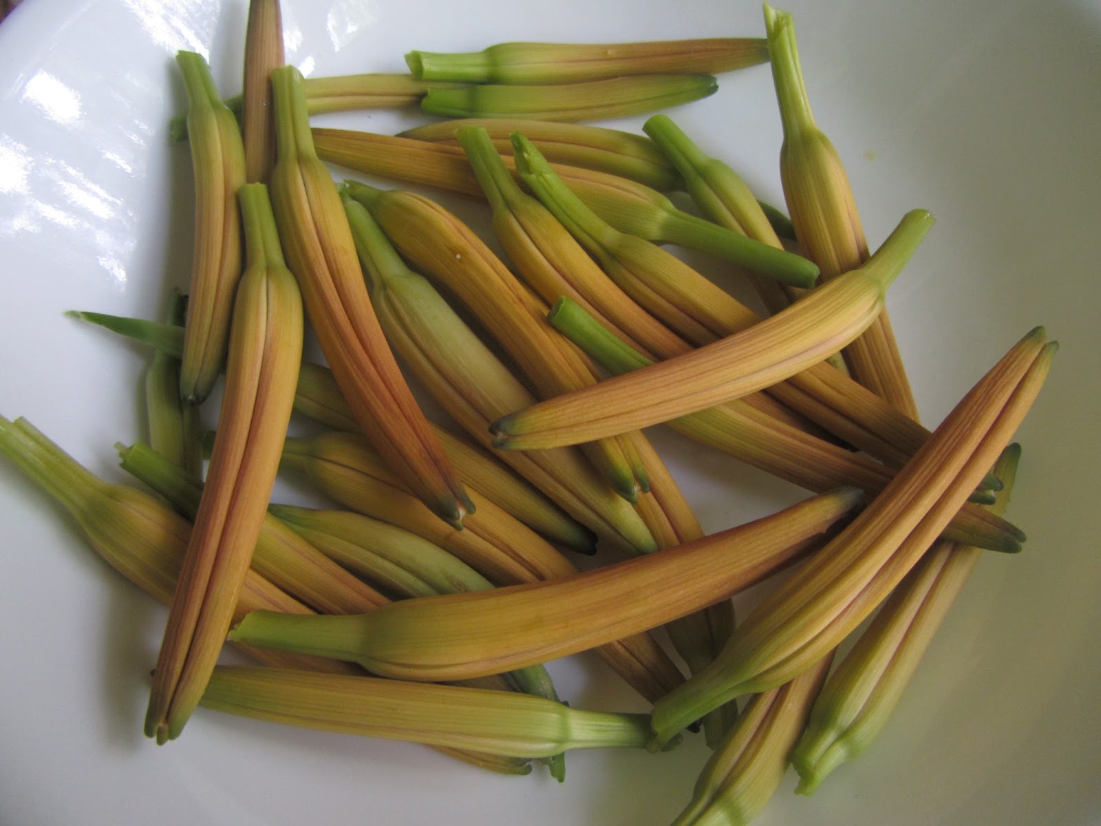 Frugal For You How to Cook Daylilies Poor Man's Asparagus