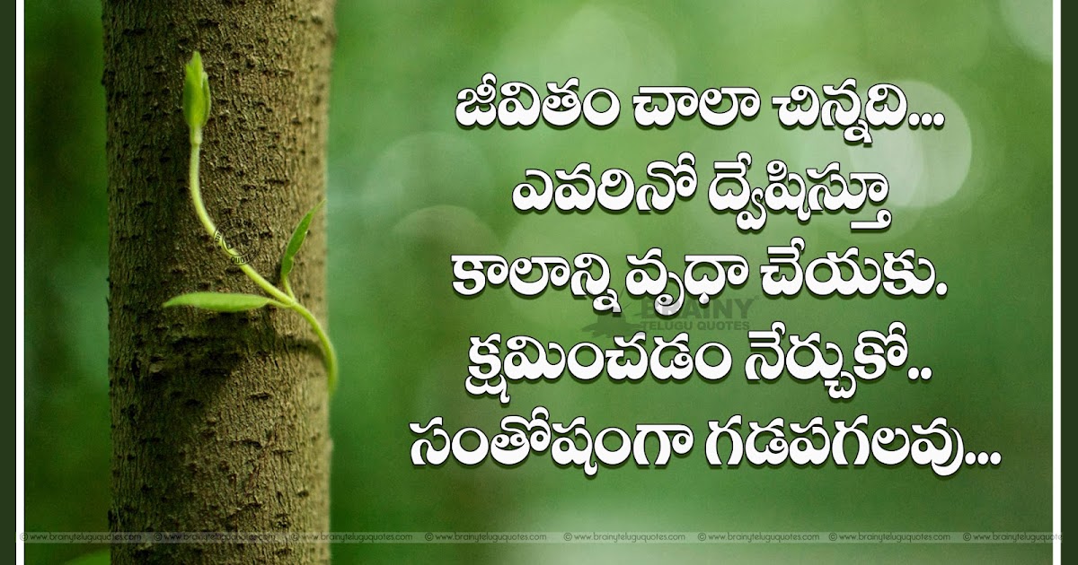 Inspirational Life Quotes in Telugu-Happiness Quotes in Telugu