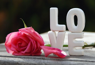 صور رومانسية ، صور وردة ، صور love صور رومانسية