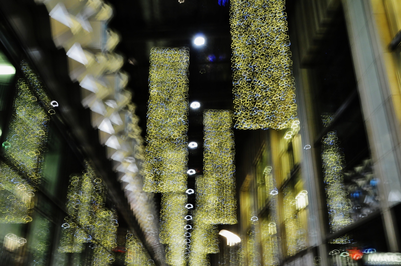 Grasgefluster Dezember 2012