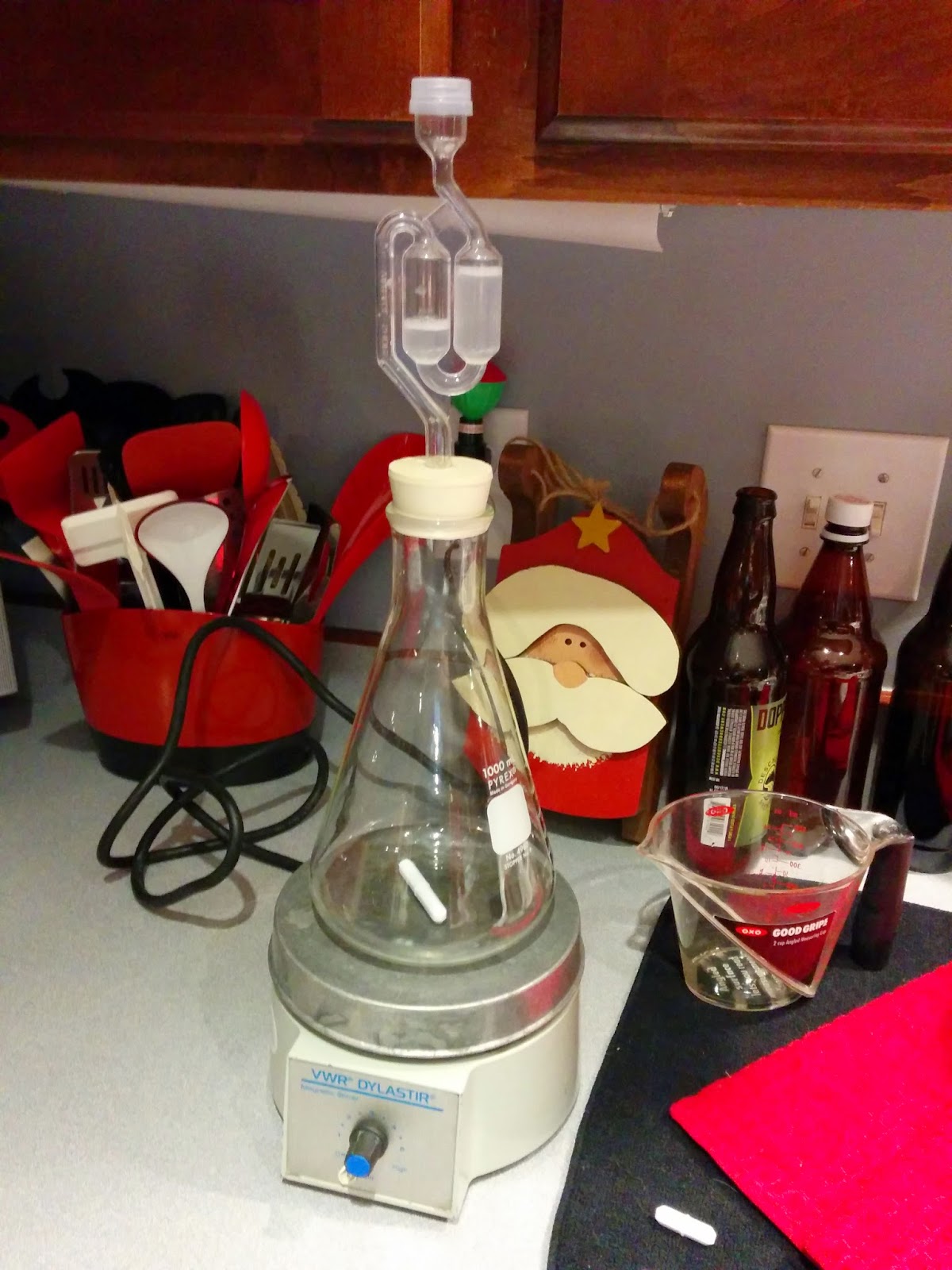 The Basics of Yeast Starters
