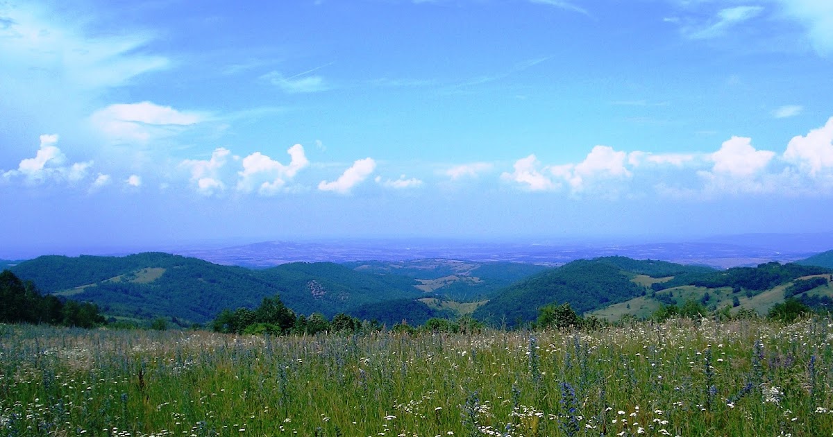 Четничка ХАИКУ поезија