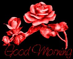 animated good morning images for whatsapp