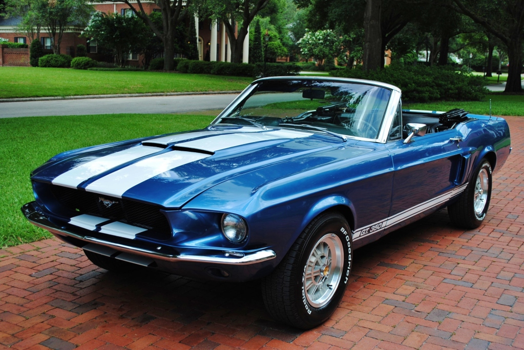 Ford shelby gt 350 convertible #8