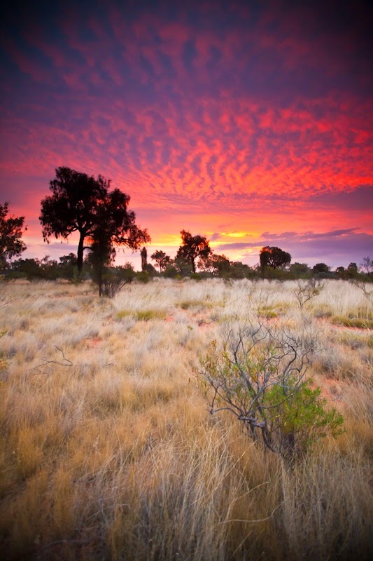 Kings Canyon, the Outback, Australia | Australia the perfect land photography lovers Kings Canyon, the Outback, Australia | Australia the perfect land photography lovers