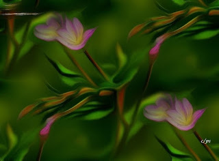 Blumen, flores, Flower, fleurs, květiny, Flores, blomme, Fauna, Flora, Tiere, Vögel, Fische, Insekten, Blumen, Bäume, Berge, Meer, Ozean, Natur, Sonne, Mond, animals, birds, fish, insects, flowers, trees, mountains,
