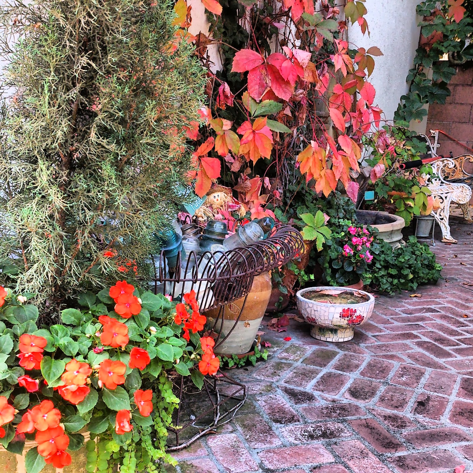 Sunny Simple Life: Pumpkins, Halloween Decor and the Garden