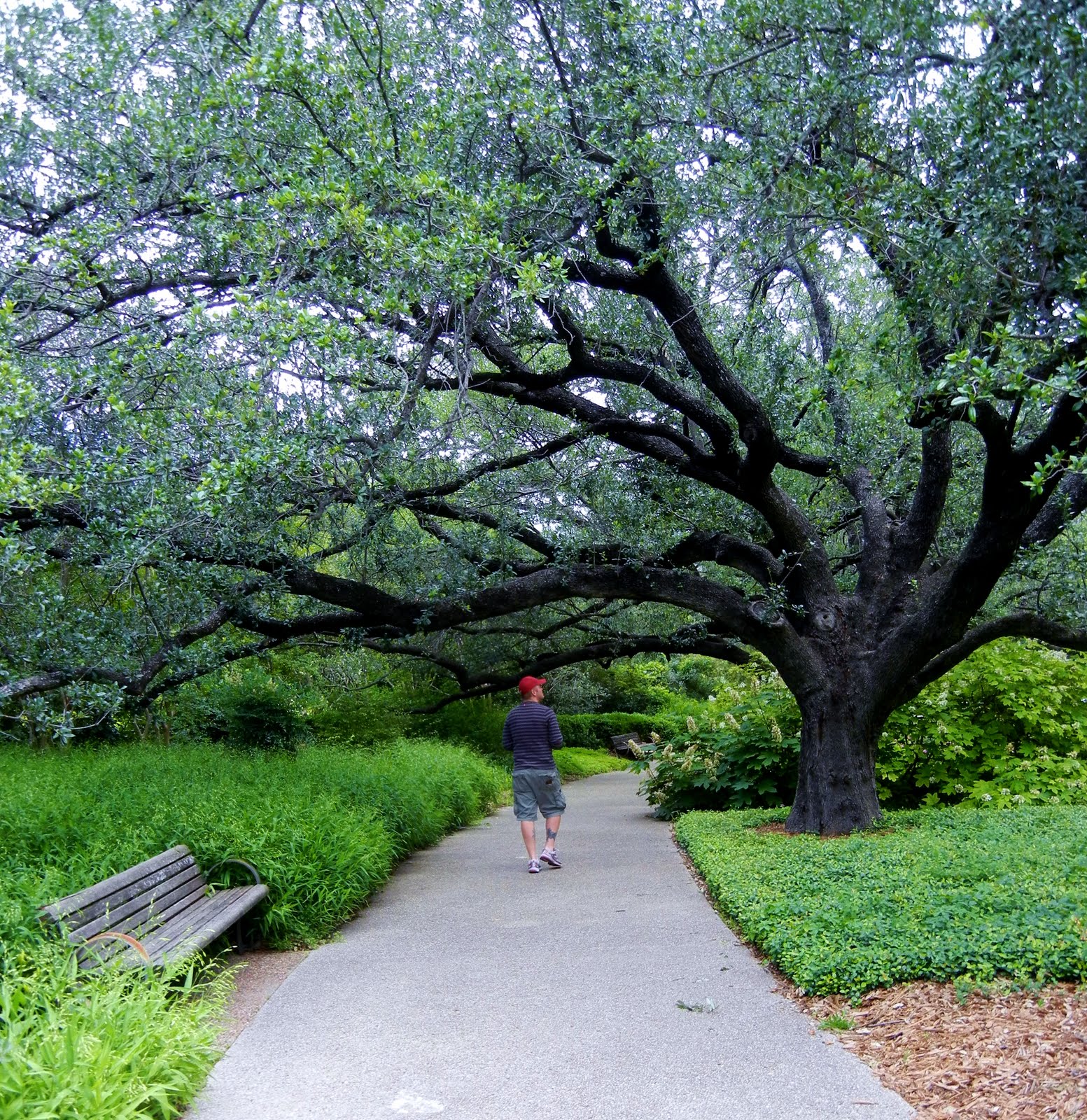 Release Me Creations: Fort Worth Botanic Gardens