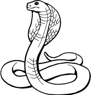 http://me-warnaigambar.blogspot.com/2016/03/belajar-mewarnai-gambar-ular.html