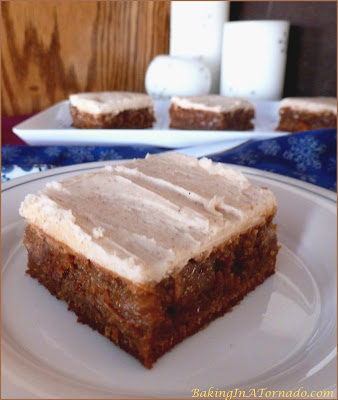 Frosted Gingerbread Bars: cinnamon, molasses and ginger flavor these bars, topped with a spiced frosting | Recipe developed by www.BakingInaTornado.com | #recipe #bake