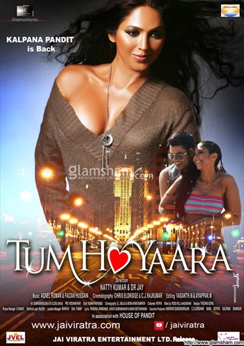 Tum Ho Yaara 2014 Hindi Movie Download