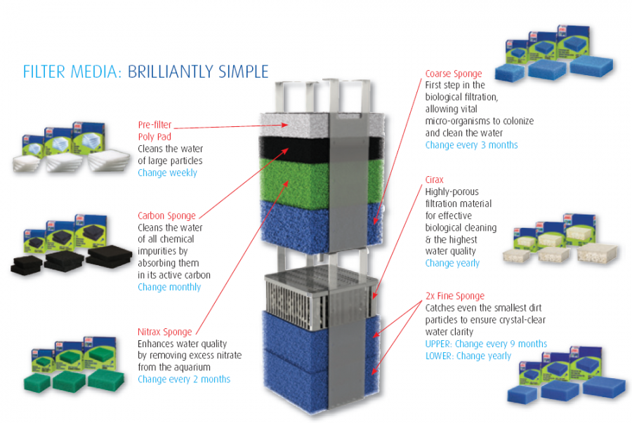Planschbecken wasser frisch halten Juwel bioflow 3 0 innenfilter aufbau