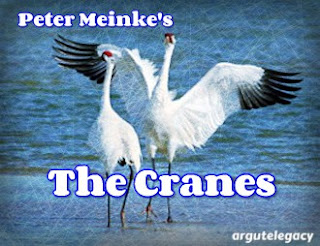 the cranes by peter meinke analysis