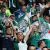 Análise Pós Jogo Palmeiras x Novorizontino