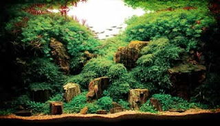 200 Referensi Desain Dan Model Aquascape Berdasarkan Tema https://www.faktapopuler.com/2018/12/200-referensi-desain-dan-model.html