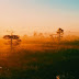 Scientific Study Warns That Our Planet Requires Immediate Action