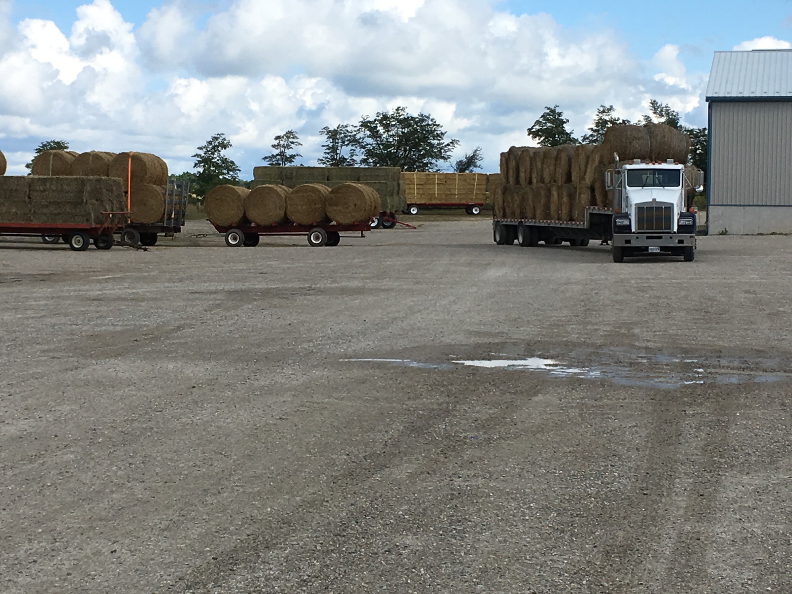 Anja's Photo Journal Elmira Produce Auction