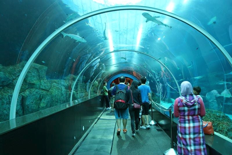 SEA Aquarium, The World's Largest Aquarium Sentosa, Singapore