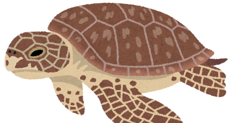 アオウミガメのイラスト 亀 かわいいフリー素材集 いらすとや