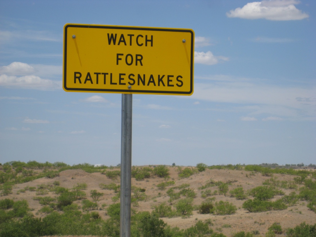 My Mountain Green TEXAS Panhandle and Northeast Texas Scenes