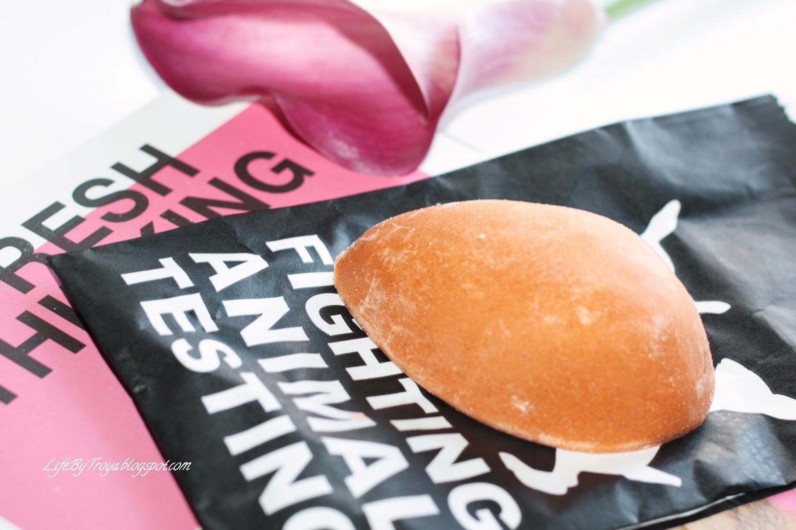 Review Lush Pumice Power Troya's Land