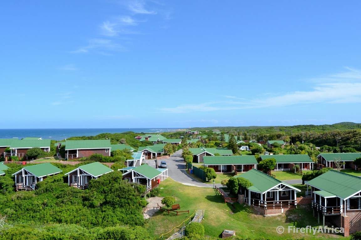 Port Elizabeth Daily Photo Pine Lodge 25 years on