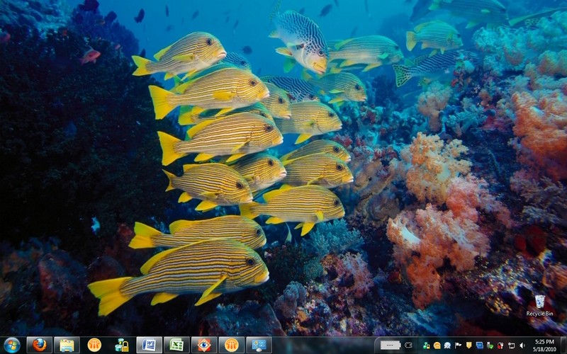Free Download Theme Windows 7 Ocean Life Hd Maniax Cukup