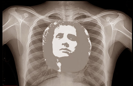 Roberto Carlos - Radiografia de um fã