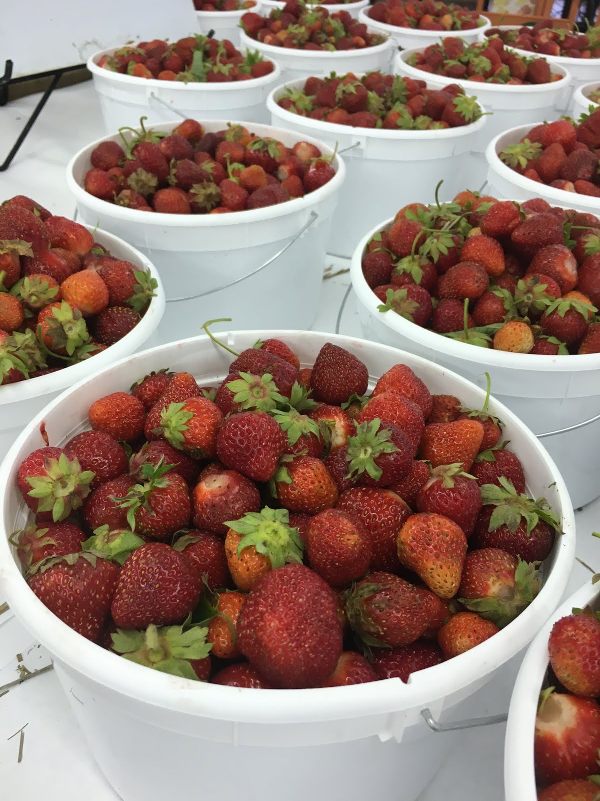 Johnson's Farm Produce