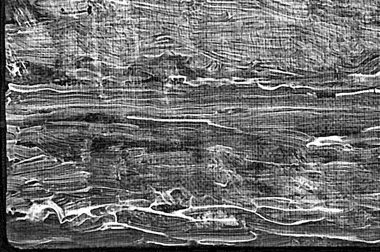 Vincent van Gogh Landscape with Ploughman digital RTG xray close up