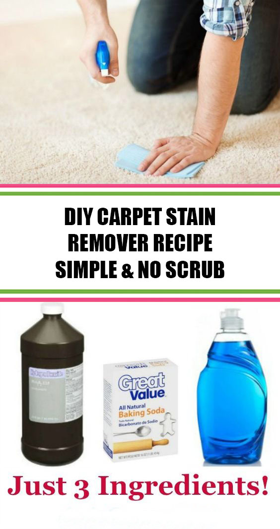DIY Carpet Stain Remover Recipe Simple & No Scrub DIY homemade
